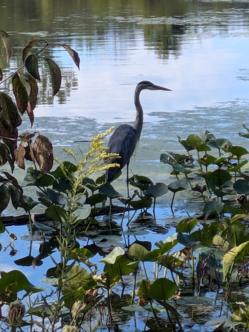 Bird Watching That Will Make You a Convert