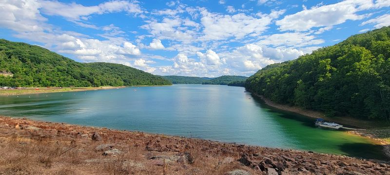 The Town Of Somerfield Had 200 Residents