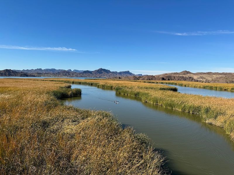 The Year 1968 When The Bill Williams River Rose