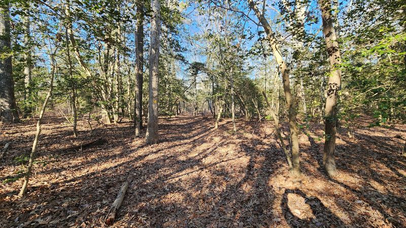 Three Trails That Each Tell a Completely Different Story