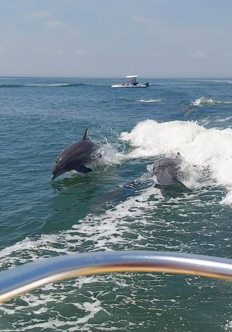 USCG Licensed Captains Who Know These Waters Cold