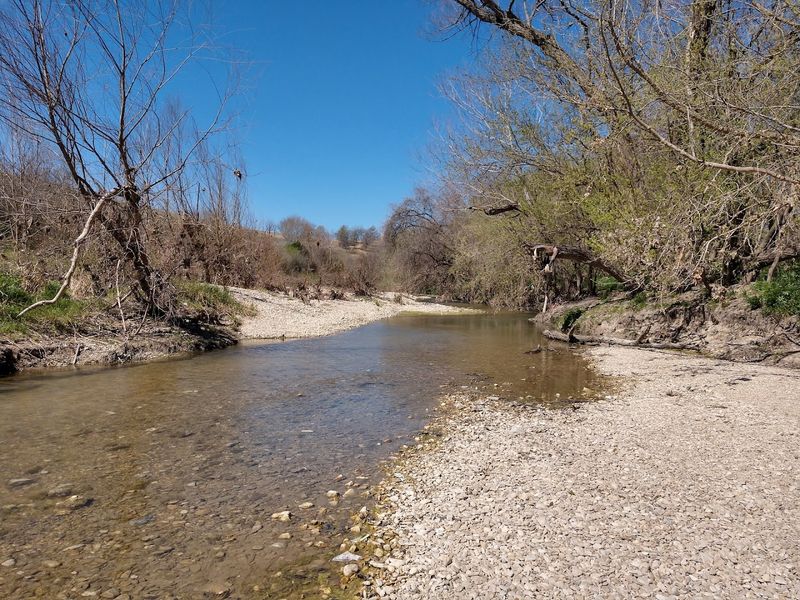 Birdwatching That Surprises Even Non-Birders