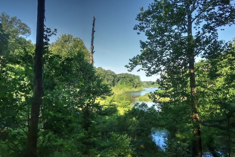 Wildlife Watching That Rewards Patience