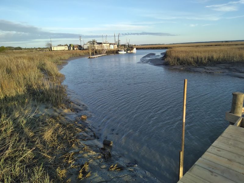 Marshland Views From A Picnic Table