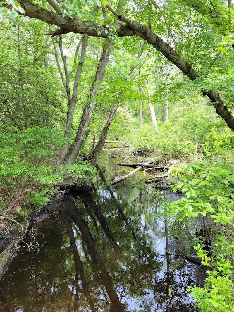 Wildlife Encounters That Feel Wonderfully Unscripted