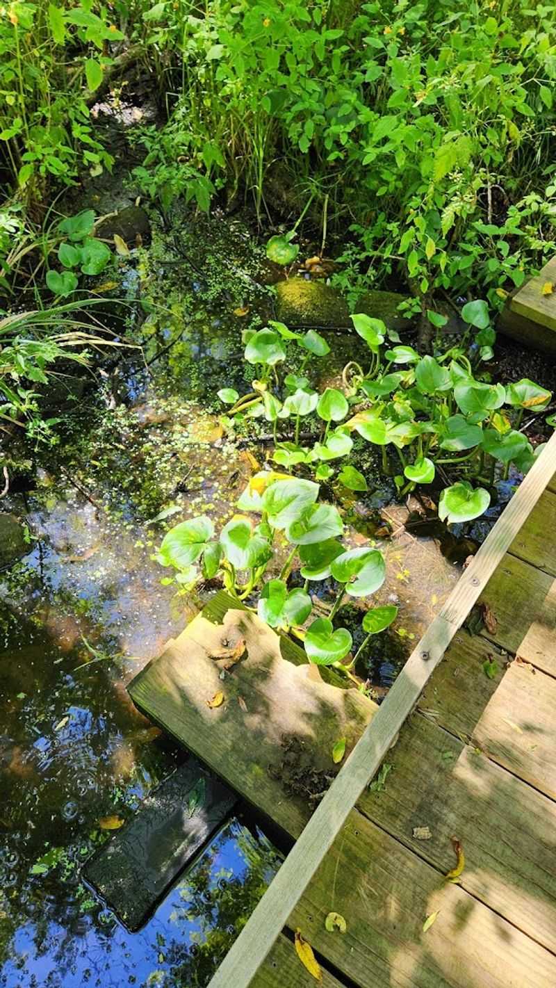 Wildlife That Actually Shows Up