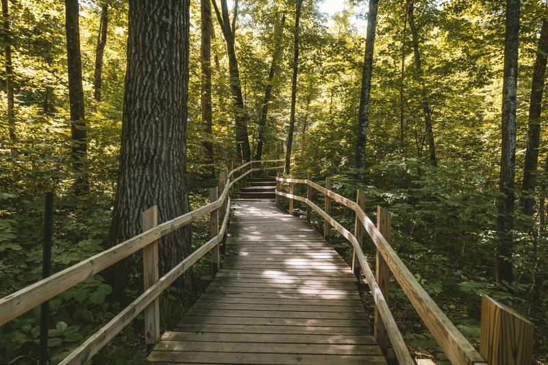 The Boardwalk That Changes Everything