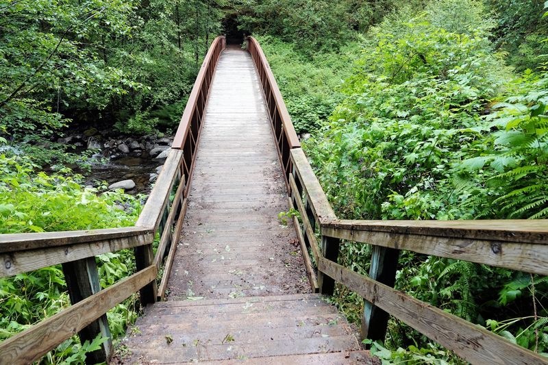 The Siletz River Crossing That Sets the Mood