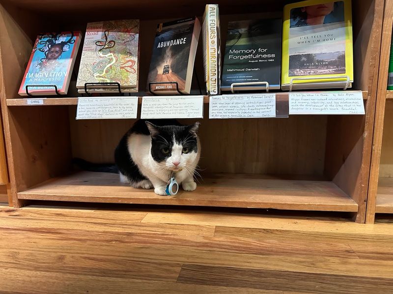 Meet Page and Mylar, the Real Stars of the Show