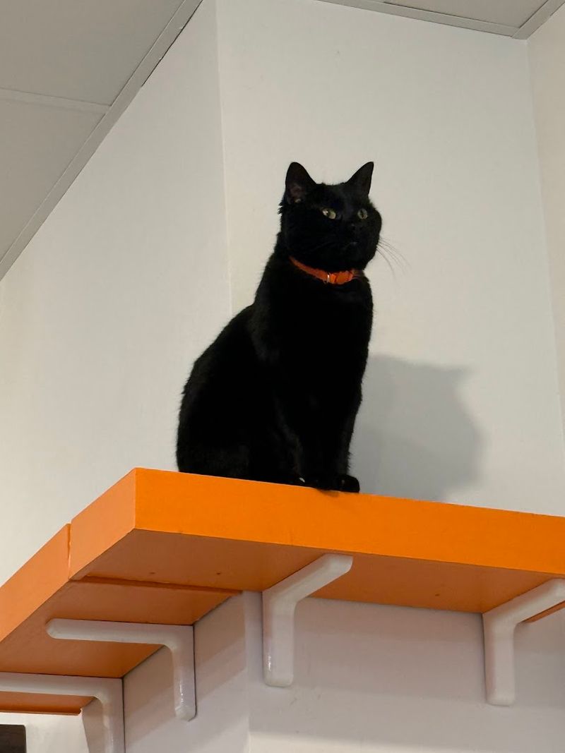 Two Separate Entrances With A Double Door Seal