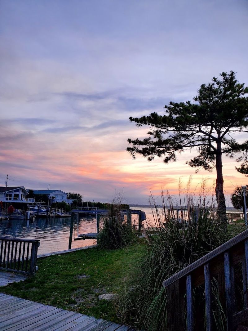 The Quiet Serenade Of Coastal Marshlands