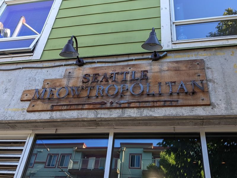 The Wallingford Exterior That Hides A Feline Kingdom