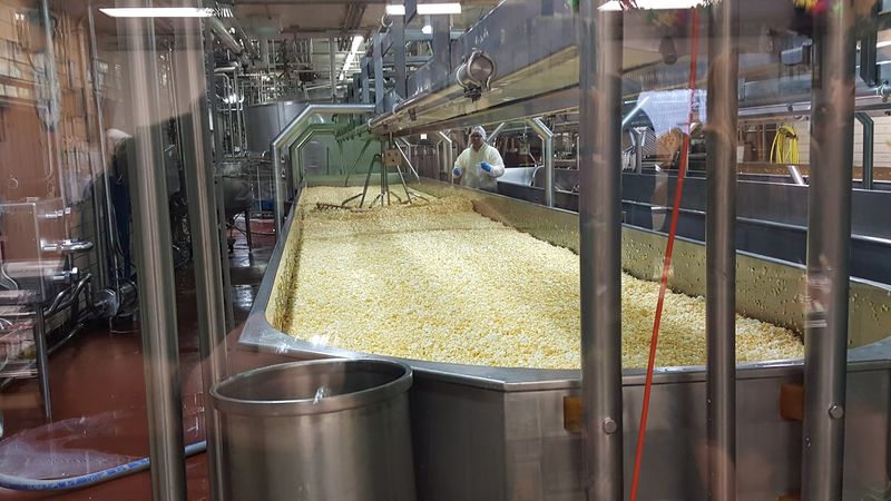 The Gentle Squeak Of A Freshly Made Curd