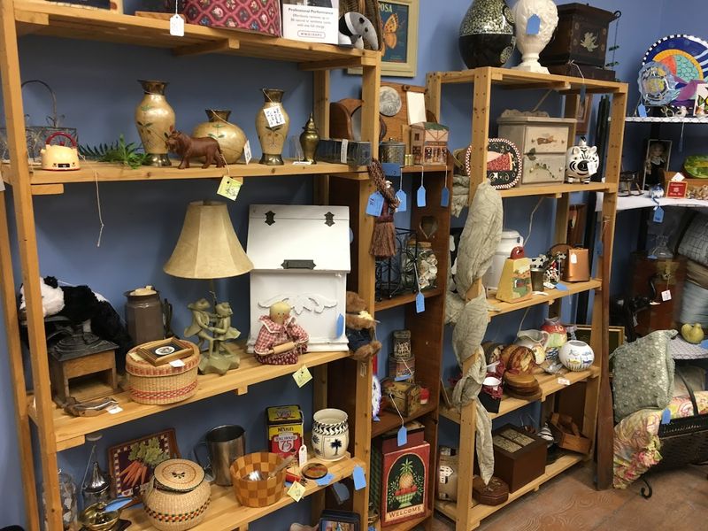 Shelves Packed With Coastal Curiosities
