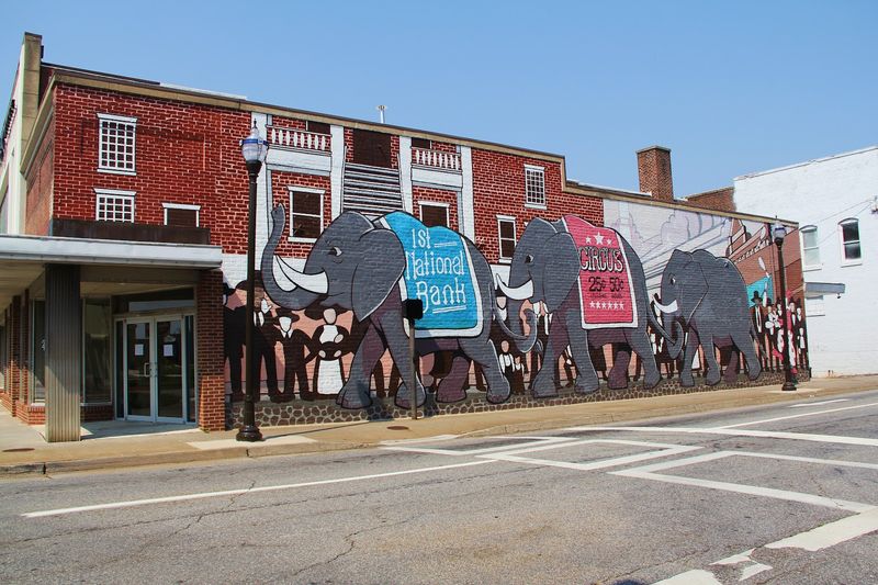 The Virginia Museum of Natural History