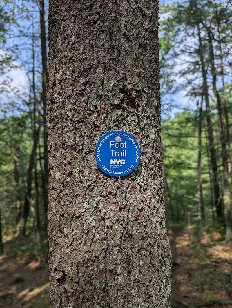 Twenty Six Hundred Graves Relocated Before The Flood