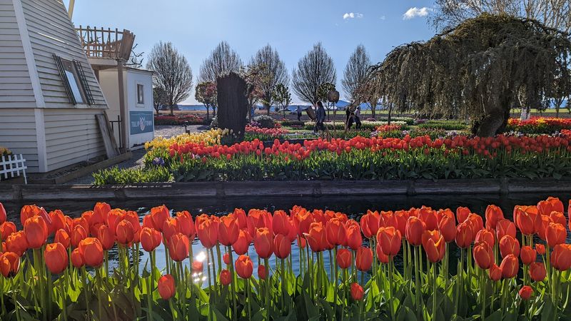 This Mount Vernon Farm Knows How To Do Spring