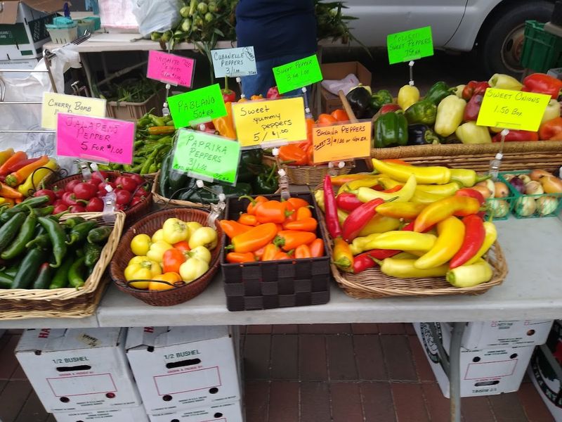 Seasonal Variety That Keeps Every Visit Feeling Fresh