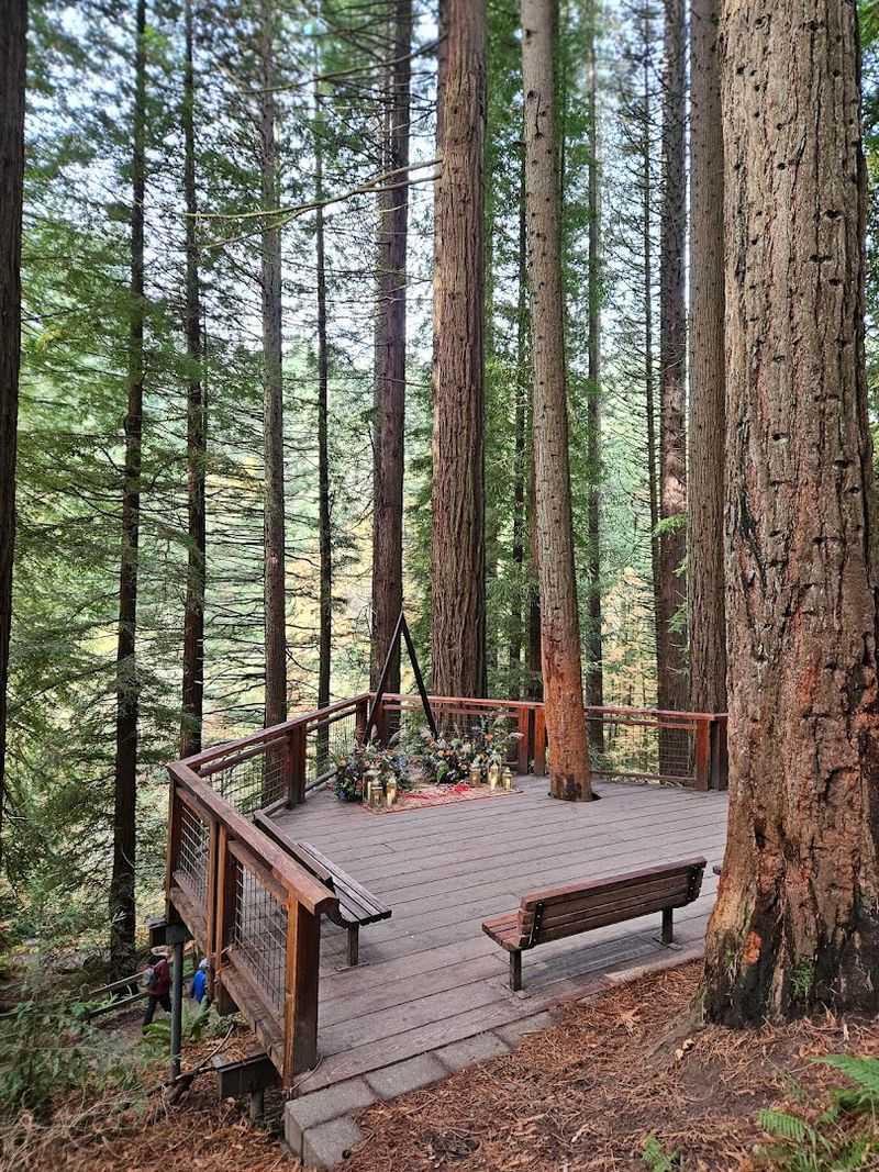 Photography at the Redwood Deck: Tips and Best Times