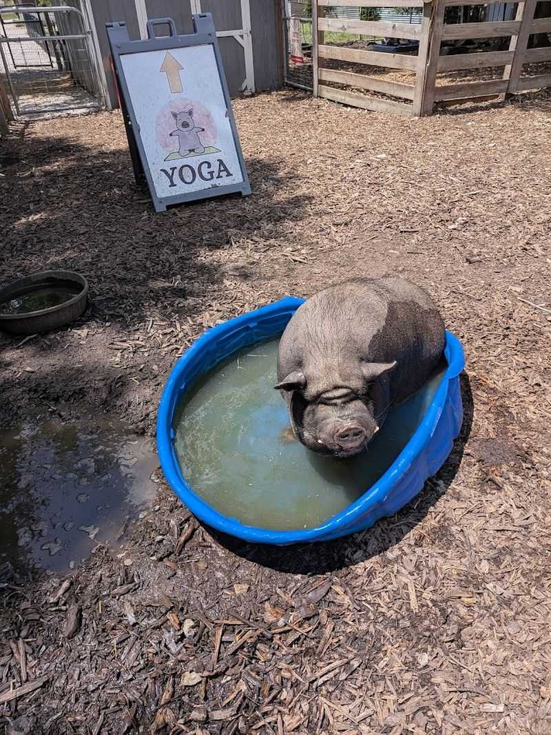 Special Events That Make Every Visit Unique