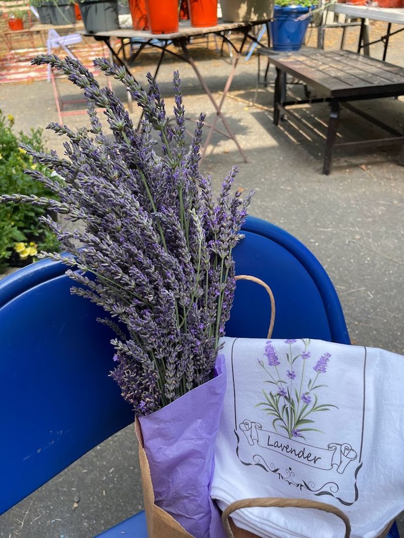 Workshops That Turn a Farm Visit into a Hands-On Creative Experience