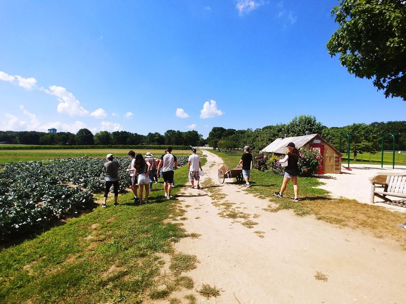 Sustainability, History, and the Future of Lee Turkey Farm