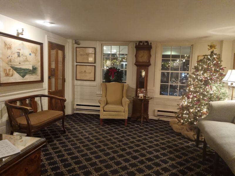 The Christmas Tree Dressed For All 365 Days