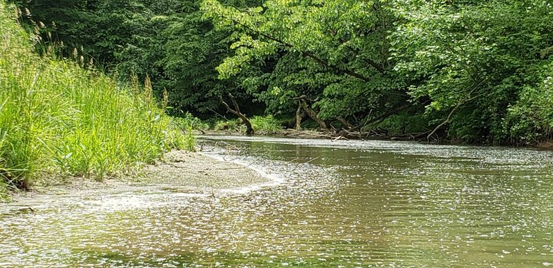 Miles of Trails Through Untouched Woodland