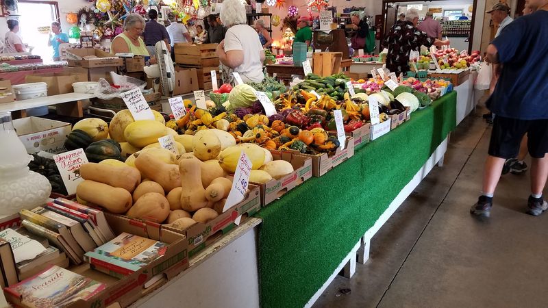 The Covered Sheds And The Bustling Outdoor Aisles