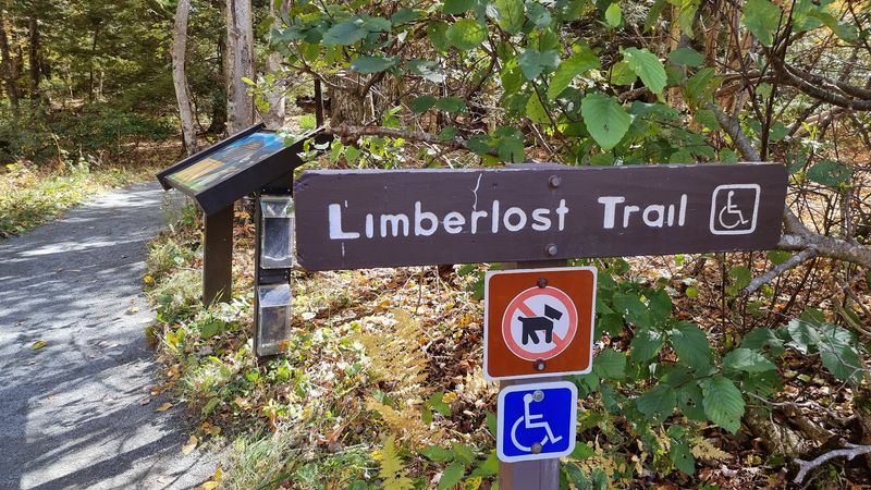 Accessibility That Actually Delivers