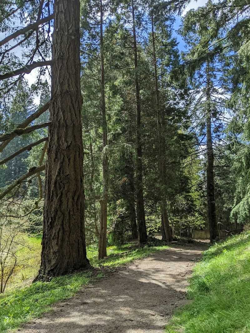 What to Expect on the Trail Itself