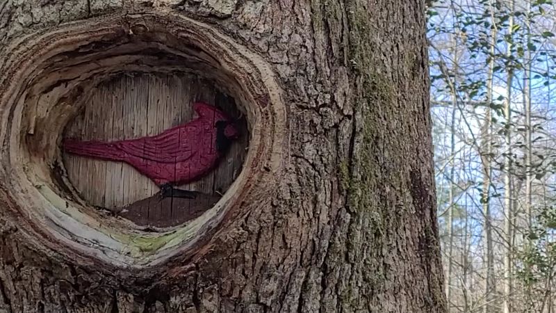 The Scavenger Hunt That Makes Every Visit an Adventure