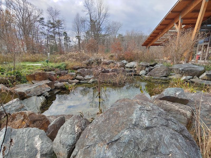 The Unexpected Memorial Garden That Changes Everything