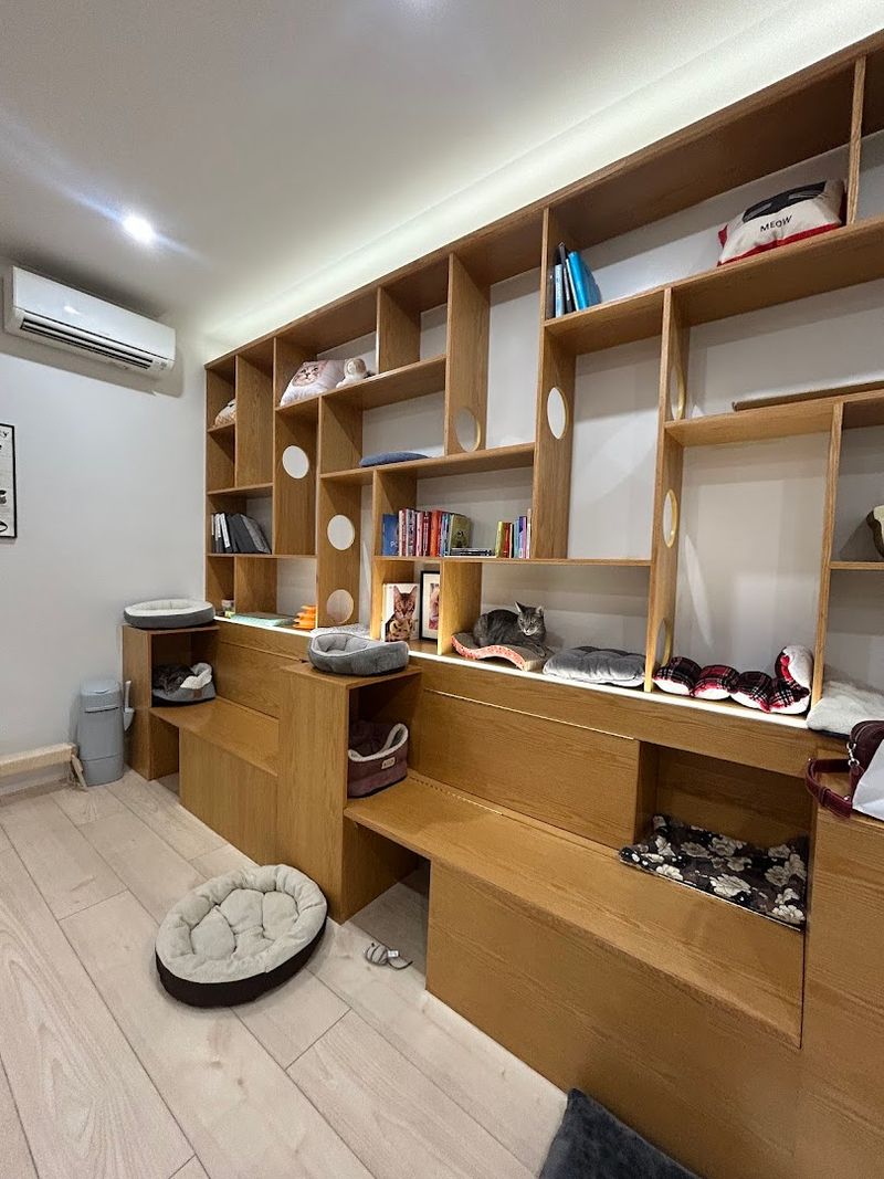 A 1,800 Square Foot Feline Paradise