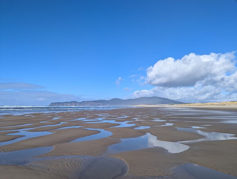 Two Loops, One Big Adventure