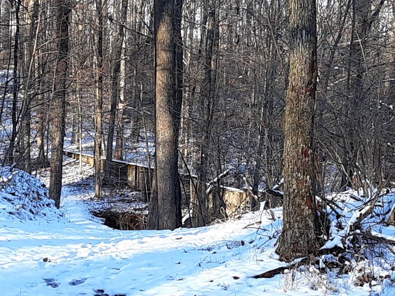 Hunting Seasons That Make Full Use Of The Forest