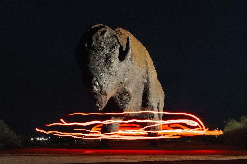 The Giant Buffalo That Defines This Stop