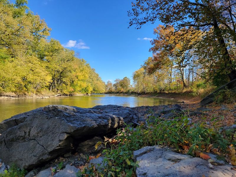 Bald Eagle Sightings Along the Wabash River Corridor