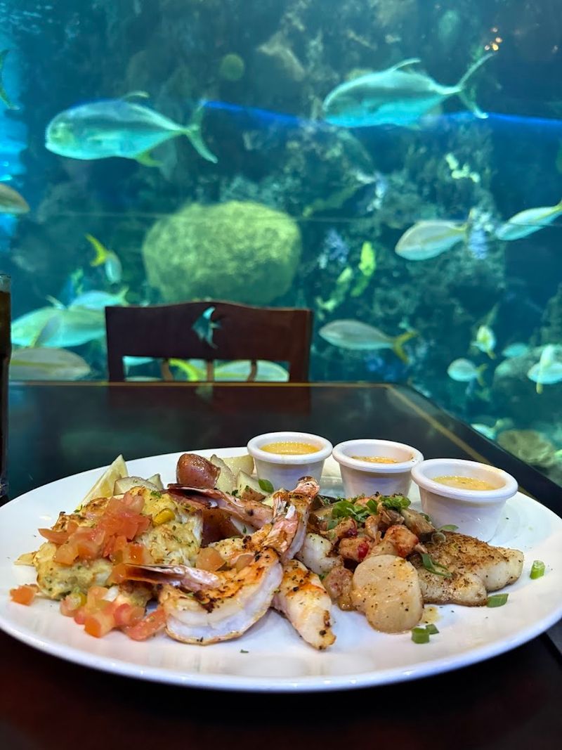 Tropical Fish Gliding Past Your Table