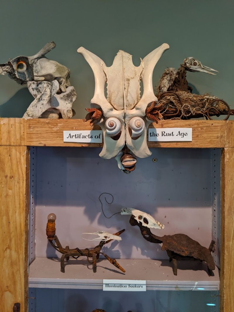 The Fictional World Behind the Collection