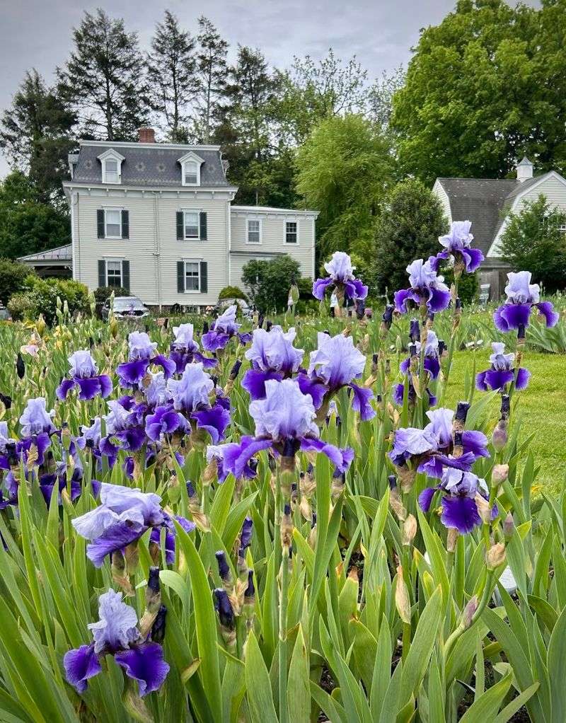 The Three-Week Window You Cannot Afford to Miss