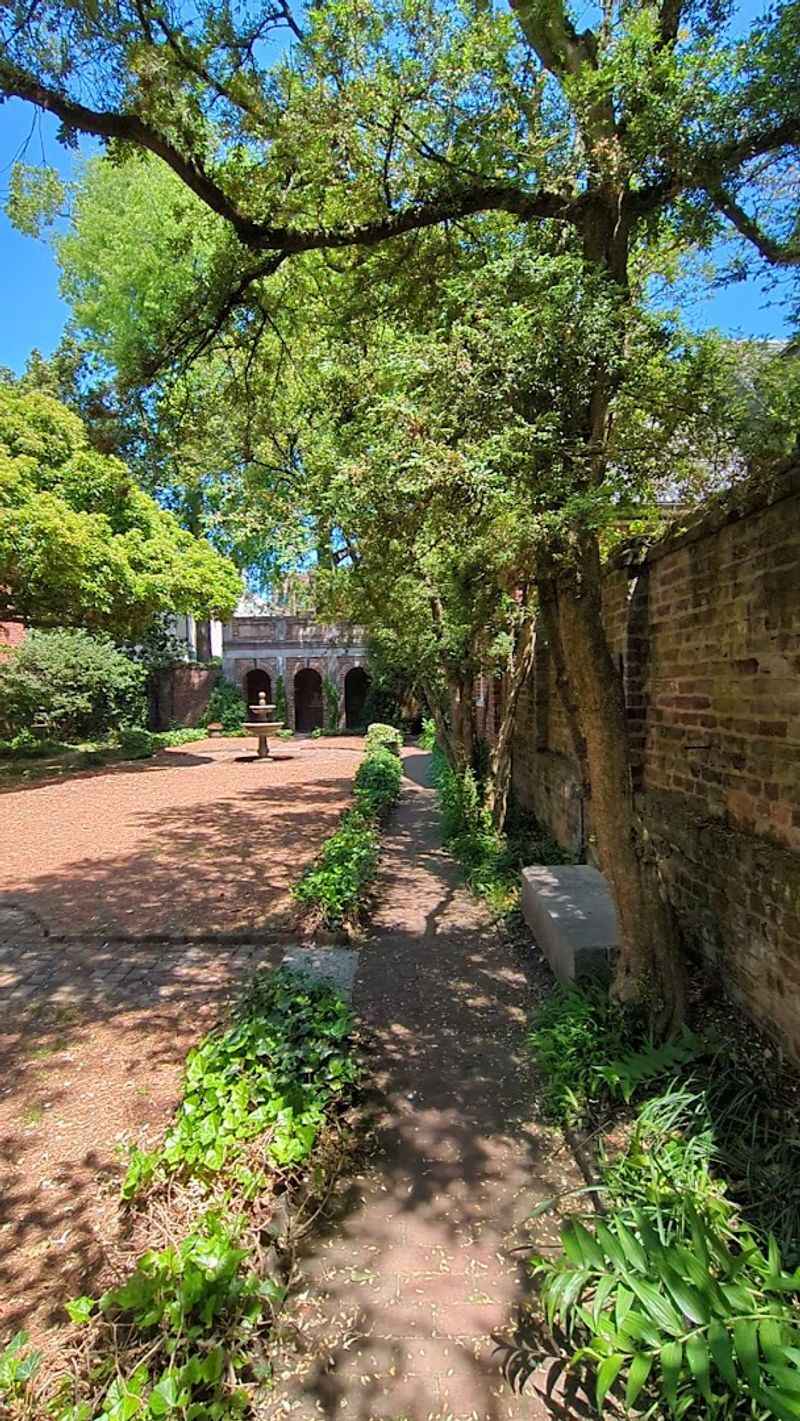 Ivy With a Story That Will Give You Chills