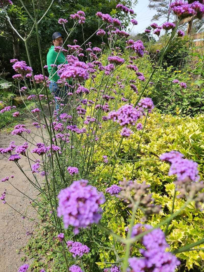 Birds, Bees, and the Wildlife That Calls This Place Home