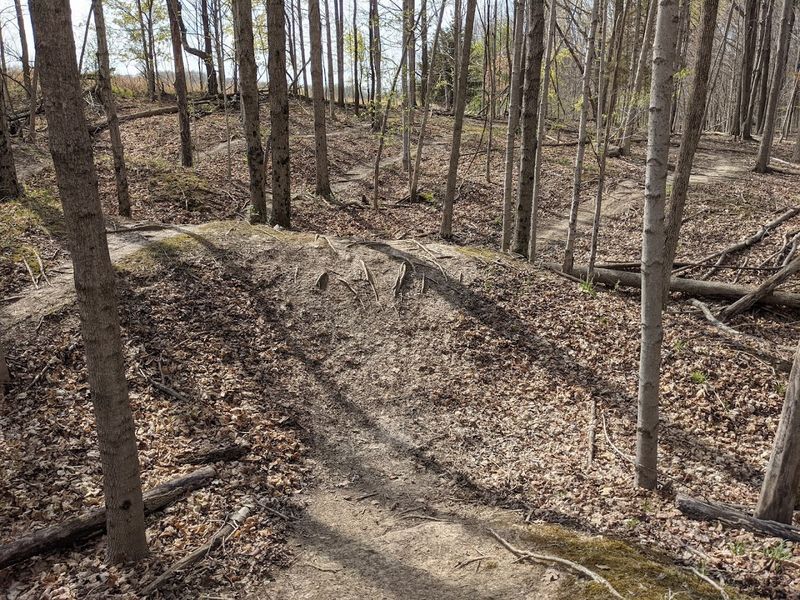 Trails That Earn Their Reputation