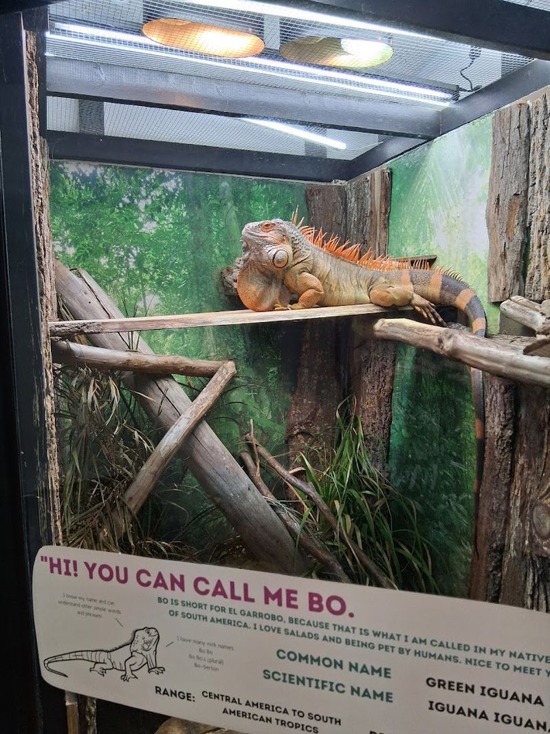 Finding My Three Chambered Heart in Mineral, Virginia