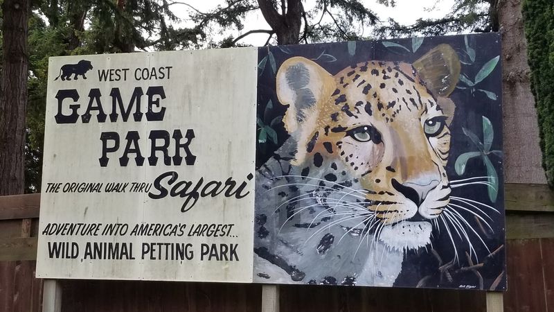 Perfect for Road Trips Along Highway 101