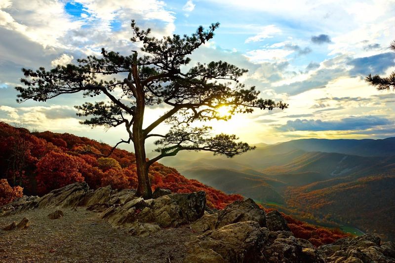 Picnicking With a Million-Dollar View