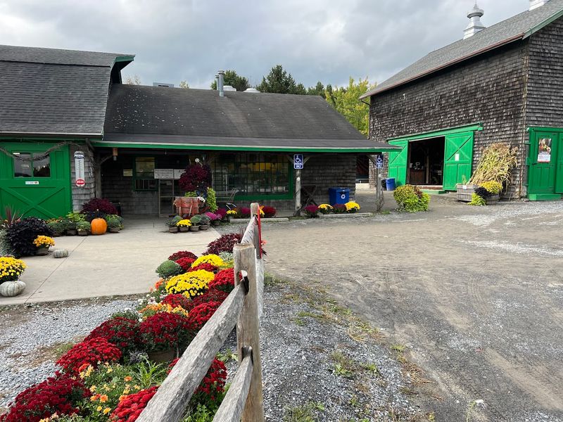 Four Generations Of The Ten Eyck Family