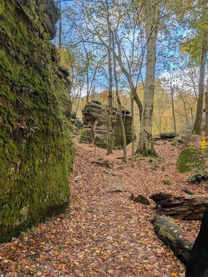 The Natural Setting: Rock walls, Trees, and That Ohio Sky