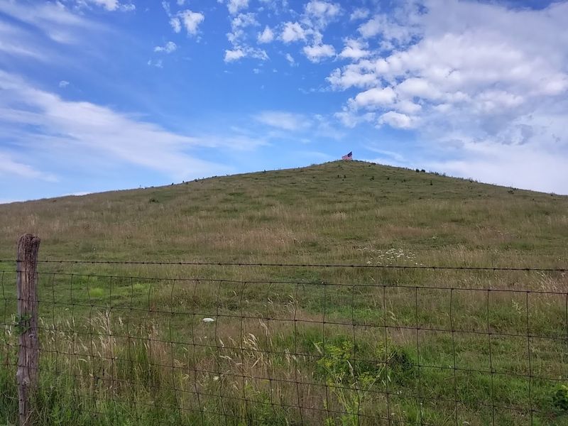 Why This Knob Stands Taller Than Everything Around It